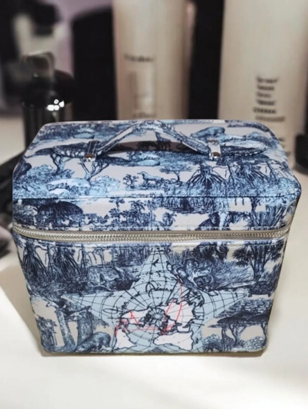 Dior Around The World Train Case